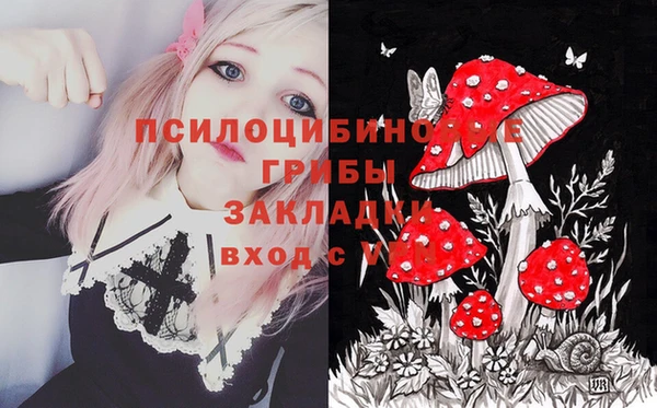 ПСИЛОЦИБИНОВЫЕ ГРИБЫ Абдулино