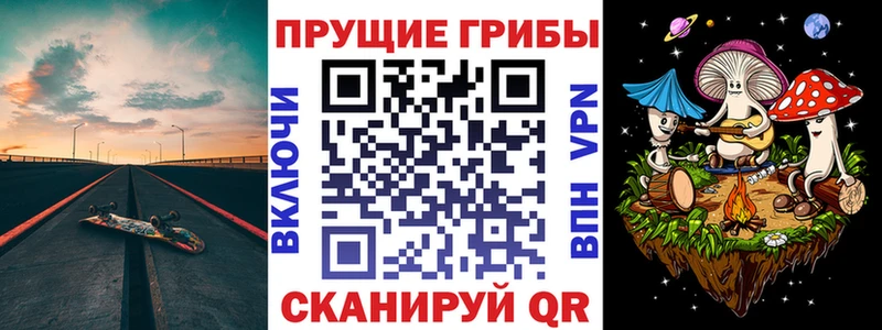 Псилоцибиновые грибы MAGIC MUSHROOMS  kraken ССЫЛКА  Зарайск 